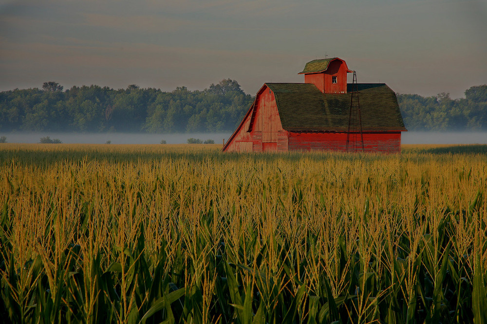 farm and crop insurance Fayetteville AR